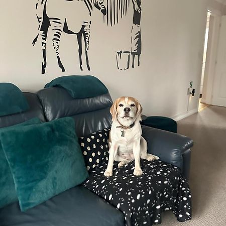 Hereford - Finch House - Modern 4 Bedroom House Located In South Hereford, Dog Friendly With Nearby Countryside, Pool Table, Sleeps Up To 10 Guests - Hosted By Rentmyhouse מראה חיצוני תמונה