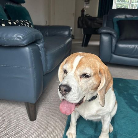 Hereford - Finch House - Modern 4 Bedroom House Located In South Hereford, Dog Friendly With Nearby Countryside, Pool Table, Sleeps Up To 10 Guests - Hosted By Rentmyhouse מראה חיצוני תמונה