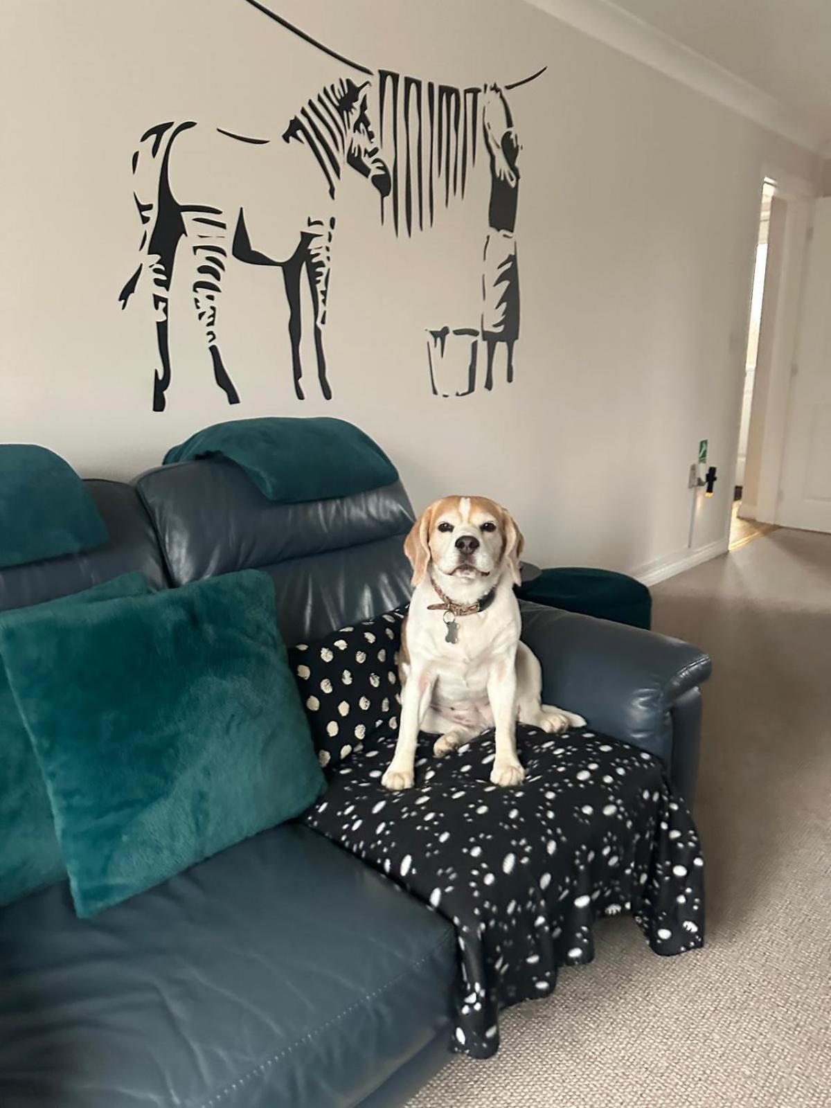 Hereford - Finch House - Modern 4 Bedroom House Located In South Hereford, Dog Friendly With Nearby Countryside, Pool Table, Sleeps Up To 10 Guests - Hosted By Rentmyhouse מראה חיצוני תמונה