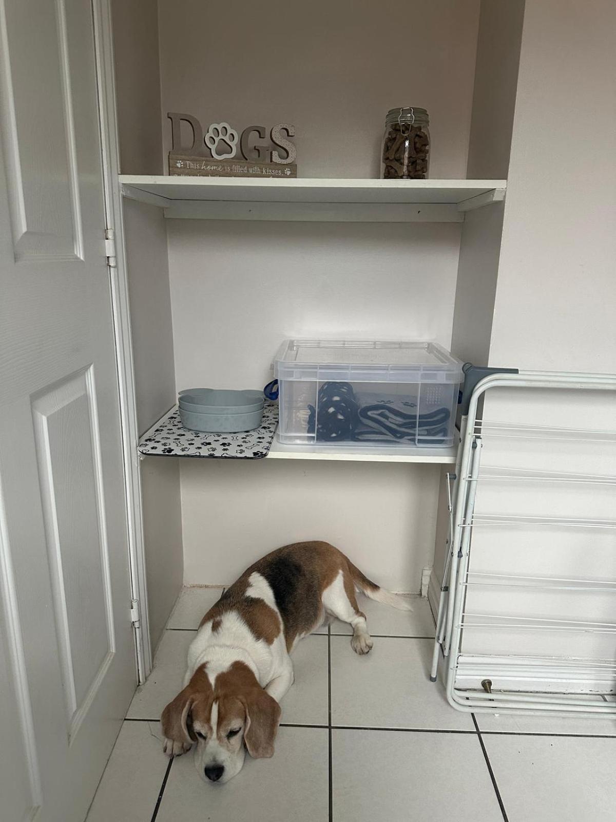 Hereford - Finch House - Modern 4 Bedroom House Located In South Hereford, Dog Friendly With Nearby Countryside, Pool Table, Sleeps Up To 10 Guests - Hosted By Rentmyhouse מראה חיצוני תמונה