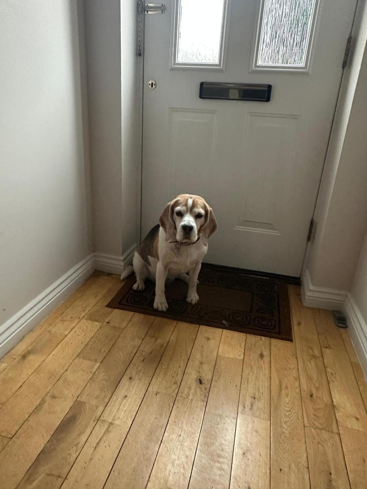 Hereford - Finch House - Modern 4 Bedroom House Located In South Hereford, Dog Friendly With Nearby Countryside, Pool Table, Sleeps Up To 10 Guests - Hosted By Rentmyhouse מראה חיצוני תמונה